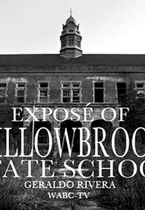 Willowbrook: The Last Great Disgrace (Willowbrook: The Last Great Disgrace)