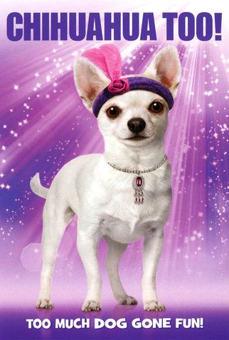 Poster 2 de Filme Chiuaua também! (2013)