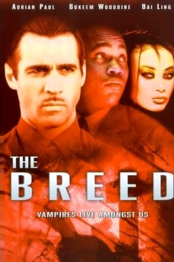  de Filme Cidade dos Vampiros (2001)