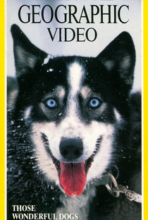 National Geographic - Esses Cães Maravilhosos - Poster / Capa / Cartaz - Oficial 2