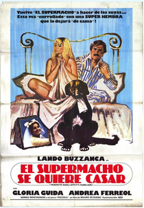 O Regresso do Macho Latino (Travolto dagli affetti familiari)