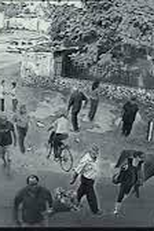 Um Verão Incomum (An Unusual Summer)