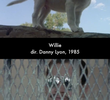 Willie