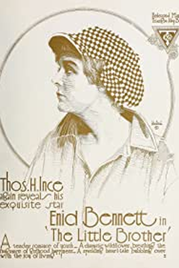 Poster de Filme The Little Brother (1917)