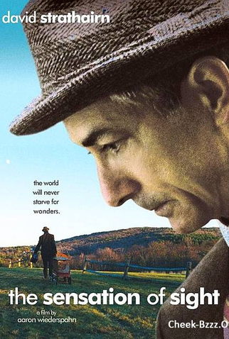 Poster 1 de Filme A Sensação de Ver (2005)