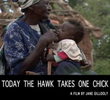 Today the Hawk Takes One Chick