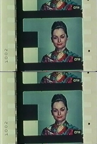 Poster 1 de Curta Standard Gauge (1984)