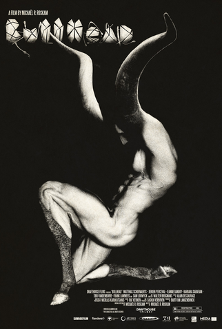 Poster 2 de Filme Bullhead (2011)