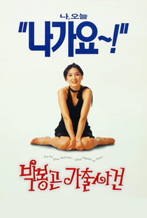 The Adventures of Mrs Park - Poster / Capa / Cartaz - Oficial 1