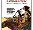 A Vingança de um Homem Chamado Cavalo