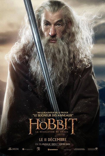 O Hobbit: A Desolação de Smaug - Poster / Capa / Cartaz - Oficial 16