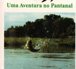 Dourado - Uma Aventura No Pantanal