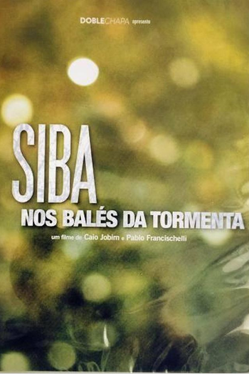 Poster de Filme Siba nos Balés da Tormenta (2012)