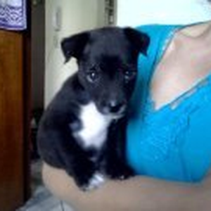 Foto de perfil de Fabio Banach