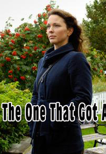 Segunda Chance para o Amor (The One That Got Away)