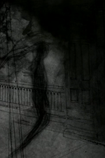 Shadow Studies (Shadow Studies)