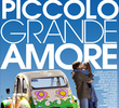 Questo Piccolo Grande Amore