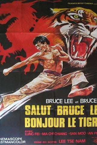 Poster 4 de Filme Exit the Dragon, Enter the Tiger (1976)
