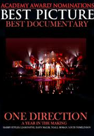 One Direction - A Year In The Making (One Direction - A Year In The Making)
