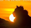 Rei dos Leões do Deserto