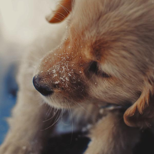 Foto de perfil de Eiki