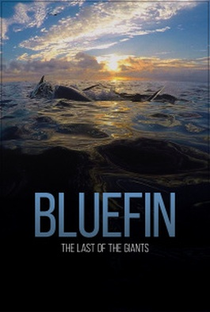 Bluefin - Poster / Capa / Cartaz - Oficial 2