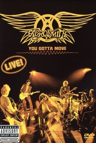 Poster 1 de Filme Aerosmith - You Gotta Move (2004)