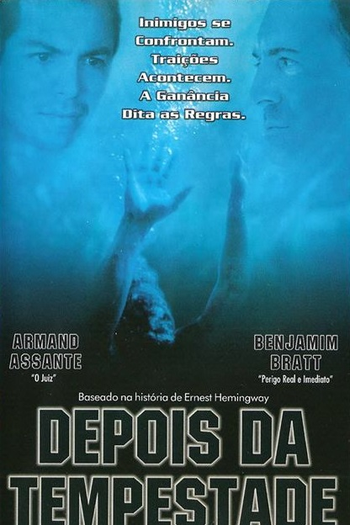  de Filme Depois da Tempestade (2001)