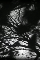 Legendary Tiger Man: Masquerade (Legendary Tiger Man: Masquerade)