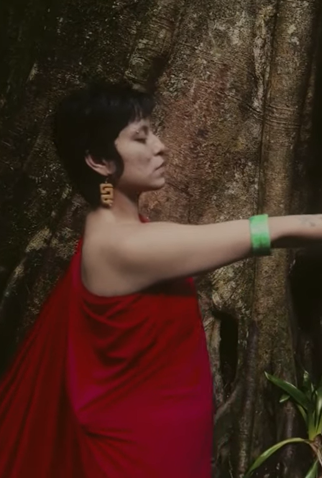 Poster 1 de Curta Efeito Zuvuya (2021)