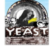 Yeast