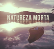Natureza Morta