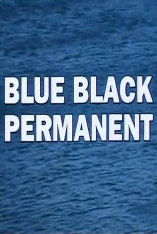Poster 2 de Filme Azul Negro Permanente (1992)