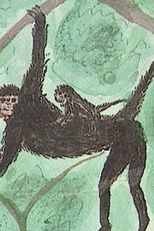 Índios no Brasil - Filhos da terra (Índios no Brasil - Filhos da terra)