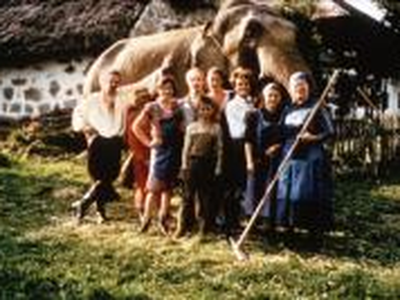 Foto 1 de Os Herdeiros