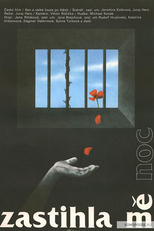 Caught by Night (Zastihla mě noc)