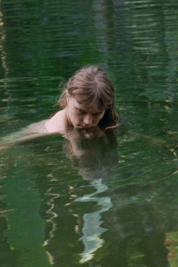 Poster de Curta A Mordida (2019)