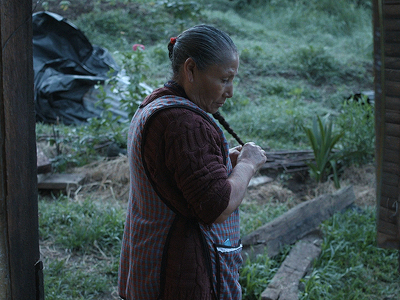 Foto 6 de Bosque de Névoa