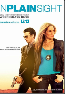 Testemunha Ocular (3ª Temporada) (In Plain Sight)
