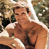 Rod Taylor - Foto 1