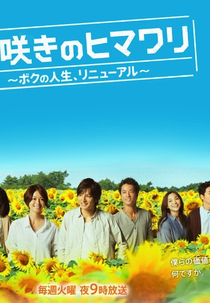 Osozaki no Himawari (Osozaki no Himawari)