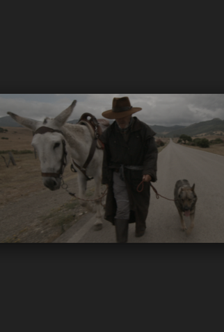 Poster 1 de Filme Donkeyote (2017)