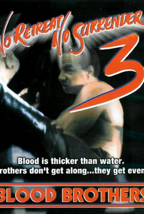 Os Irmãos Kickboxers - Poster / Capa / Cartaz - Oficial 1