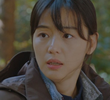 5회