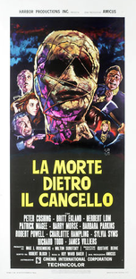 Asilo Sinistro - Poster / Capa / Cartaz - Oficial 5