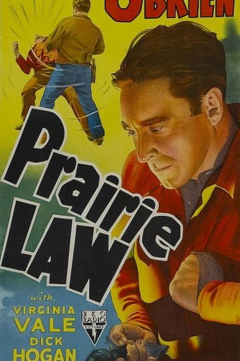 Poster de Filme A Lei dos Prados (1940)
