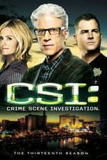 CSI: Investigação Criminal (13ª Temporada) (CSI: Crime Scene Investigation (Season 13))