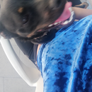 Foto de perfil de Beatriz