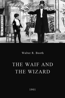The Waif and the Wizard - Poster / Capa / Cartaz - Oficial 1
