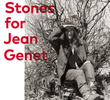 Três Pedras para Jean Genet